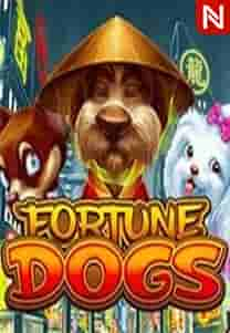 Fortune Dogs